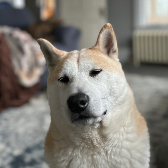 Meet your Posher, Joel - Picture 2 of 2